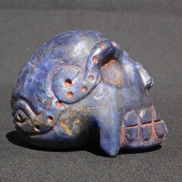Sodalite Skull 450g Hand Carved w/ Double-Headed Serpent & Quartz Veins - Imagen 3