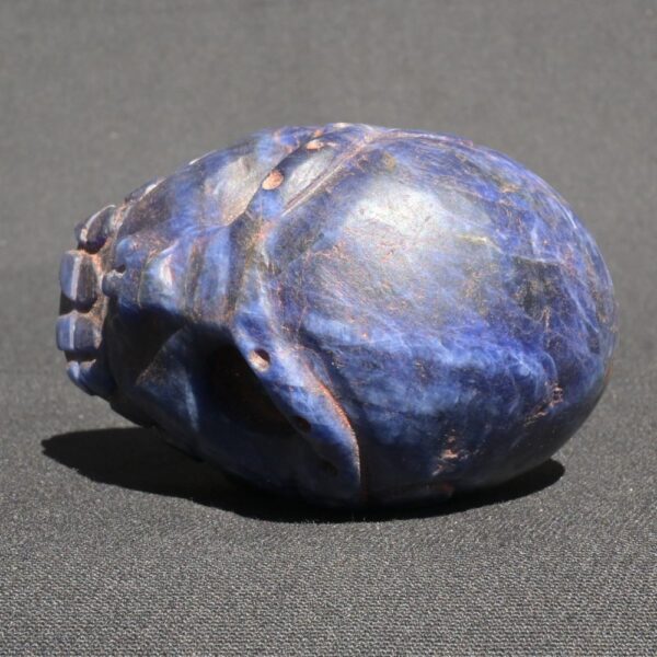 Sodalite Skull 450g Hand Carved w/ Double-Headed Serpent & Quartz Veins - Imagen 5