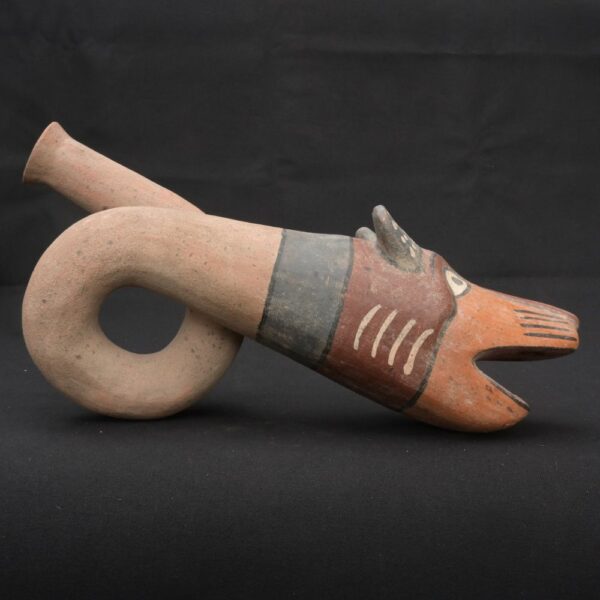 🟩Moche Ritual Fox Horn – Pre-Columbian Ceramic Trumpet Instrument - Imagen 1
