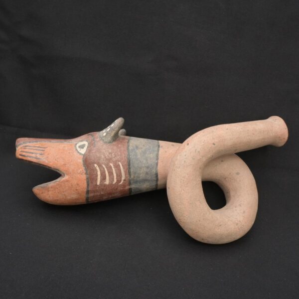 🟩Moche Ritual Fox Horn – Pre-Columbian Ceramic Trumpet Instrument - Imagen 3