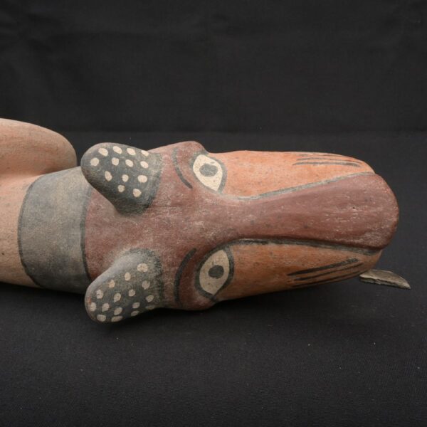 🟩Moche Ritual Fox Horn – Pre-Columbian Ceramic Trumpet Instrument - Imagen 6