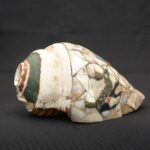 Inca Pututu Shell Trumpet – Mosaic Inlay with Warrior & Animal Motifs - Imagen 2