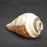 Inca Pututu Shell Trumpet – Mosaic Inlay with Warrior & Animal Motifs - Imagen 6