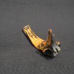 Hand-Carved Bone Quena with Ancient Symbolism – Display Collectible - Imagen 7