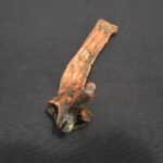 Carved Bone Quena Flute with Face Motif – Tribal Decorative Artifact - Imagen 8