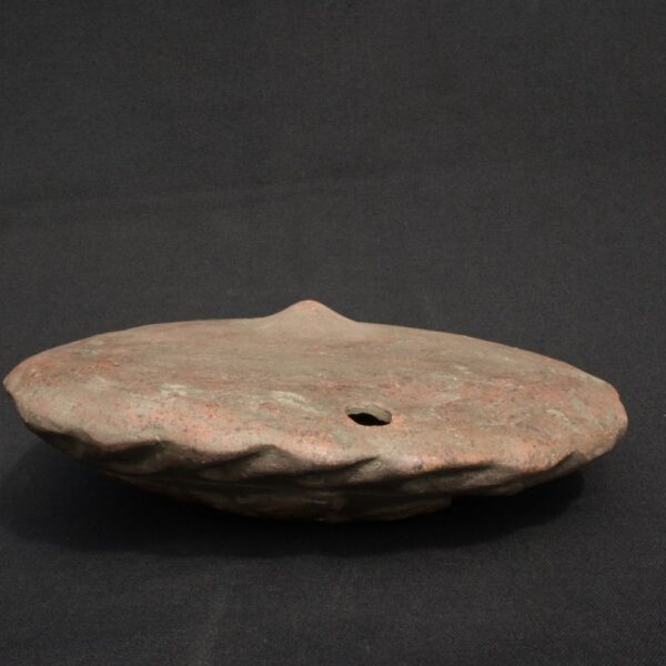 Moche Ritual Whistle – Prehistoric Fish Motif with Symbolic Aura - Imagen 6