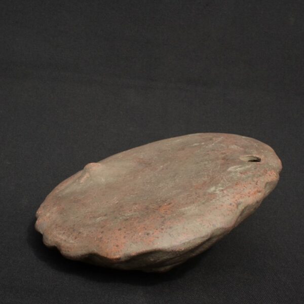 Moche Ritual Whistle – Prehistoric Fish Motif with Symbolic Aura - Imagen 9