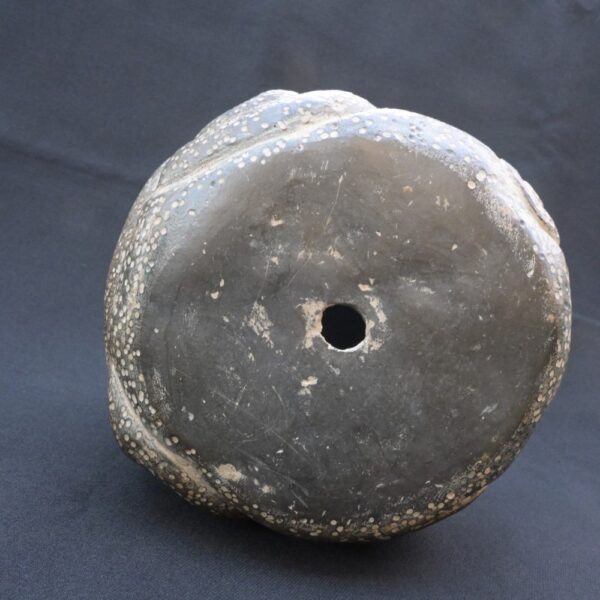 ✨Chavín ceramic ritual head: pre-Columbian ceremonial piece - Imagen 12