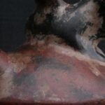 🐆Sicán Ceramic Wind Whistle with Zoomorphic Figure - Imagen 11