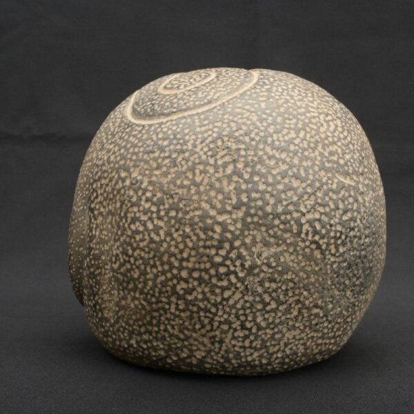 ⚫ Chavín Ceramic Bottle with a Supernatural Face and Ritualized Textures - Imagen 4