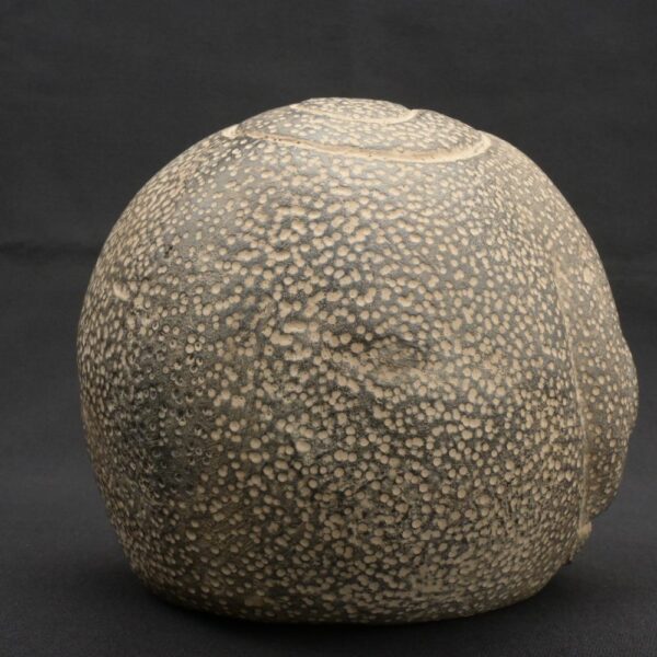 ⚫ Chavín Ceramic Bottle with a Supernatural Face and Ritualized Textures - Imagen 6