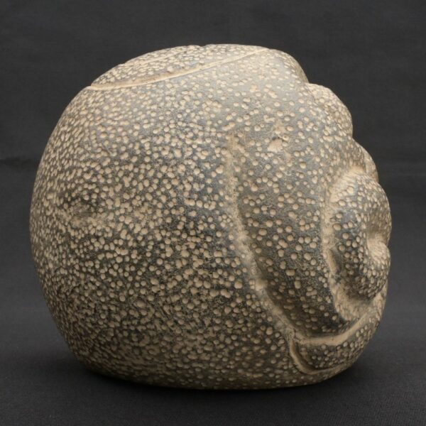⚫ Chavín Ceramic Bottle with a Supernatural Face and Ritualized Textures - Imagen 7