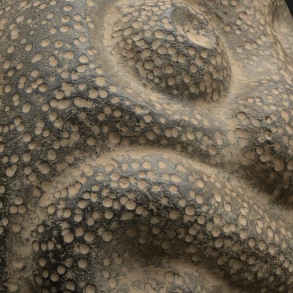 ⚫ Chavín Ceramic Bottle with a Supernatural Face and Ritualized Textures - Imagen 11