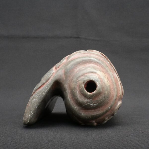 🎶 Chavín Stone Pututu with Ceremonial Feline Engravings - Imagen 3