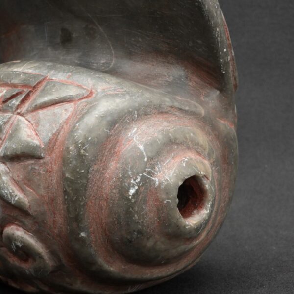 🎶 Chavín Stone Pututu with Ceremonial Feline Engravings - Imagen 15