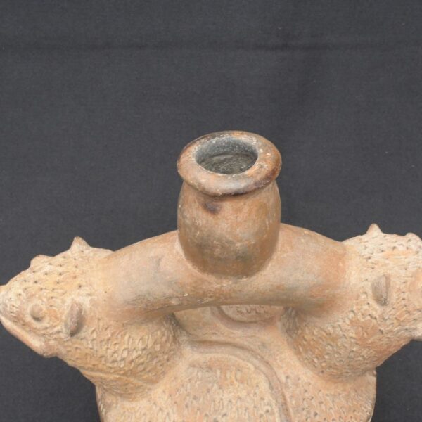 🗿 Chavín Ceramic Ritual Bottle with Two Heads - Imagen 9