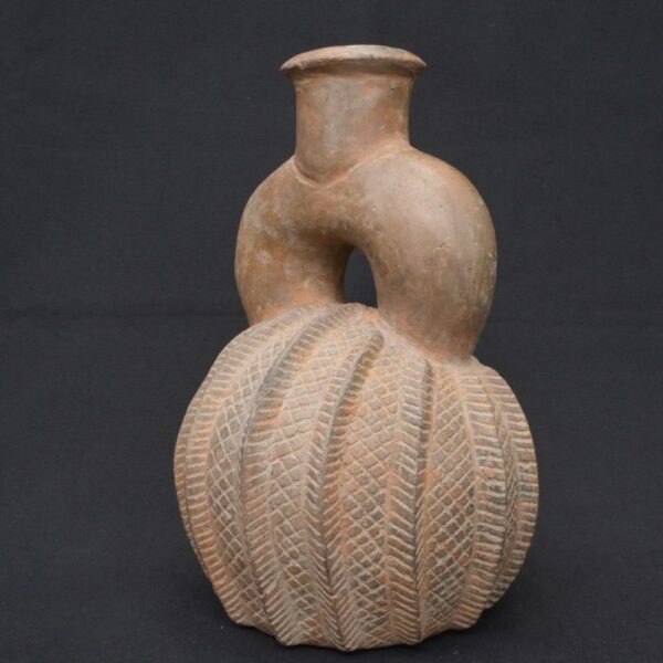 🏺 Chavín Ceramic Two-Tone Fruit-Shaped Bottle - Imagen 2