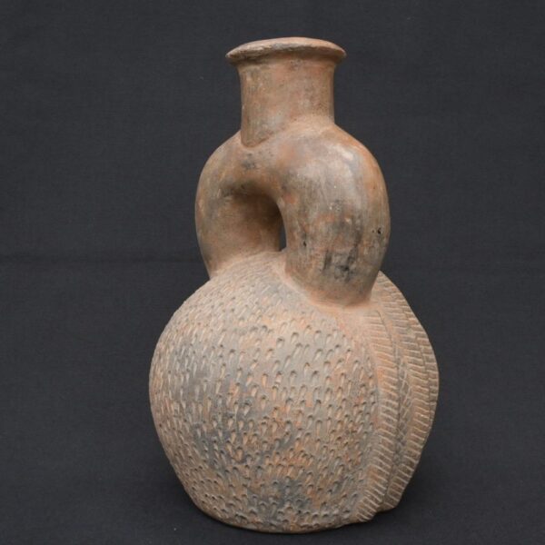 🏺 Chavín Ceramic Two-Tone Fruit-Shaped Bottle - Imagen 6