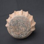 🏺 Chavín Ceramic Two-Tone Fruit-Shaped Bottle - Imagen 10