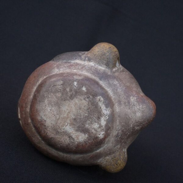 🧠 Tiahuanaco Culture Ceramic Ceremonial vessel in the shape of a human head - Imagen 10