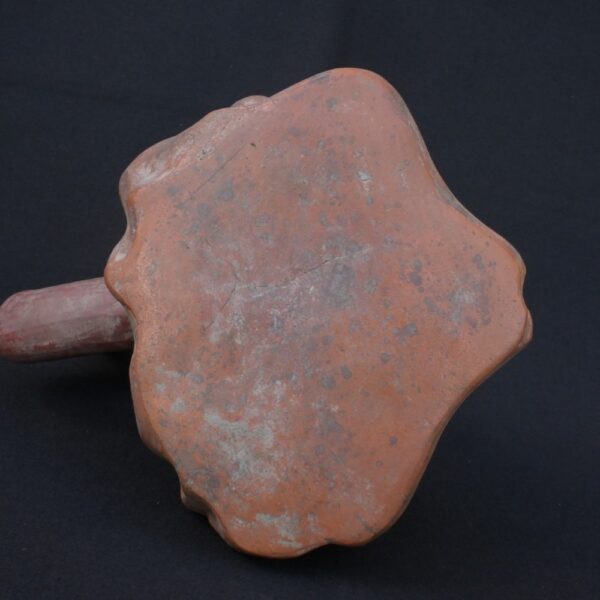 😄 Moche Culture Ceramic Sculptural Bottle of a Man with Animals - Imagen 10