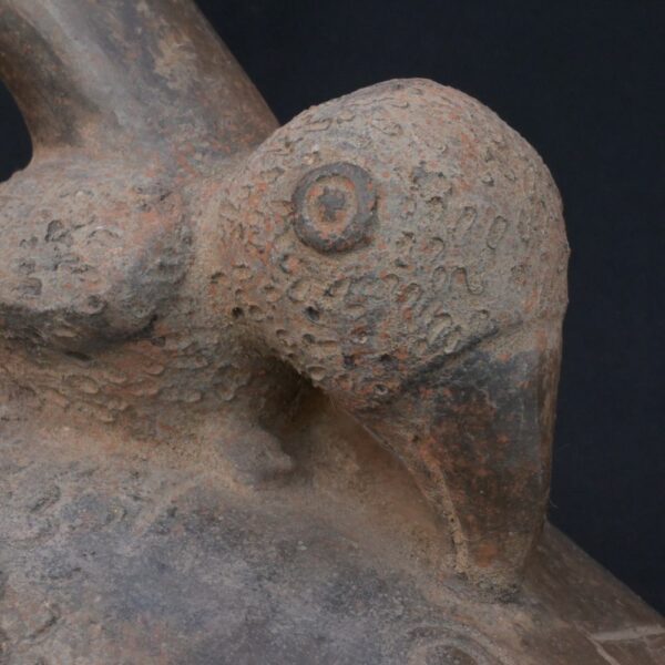 🐟 Chavín Culture Ceramic Bottle with Bird on Fish in Ritual Scene - Imagen 12