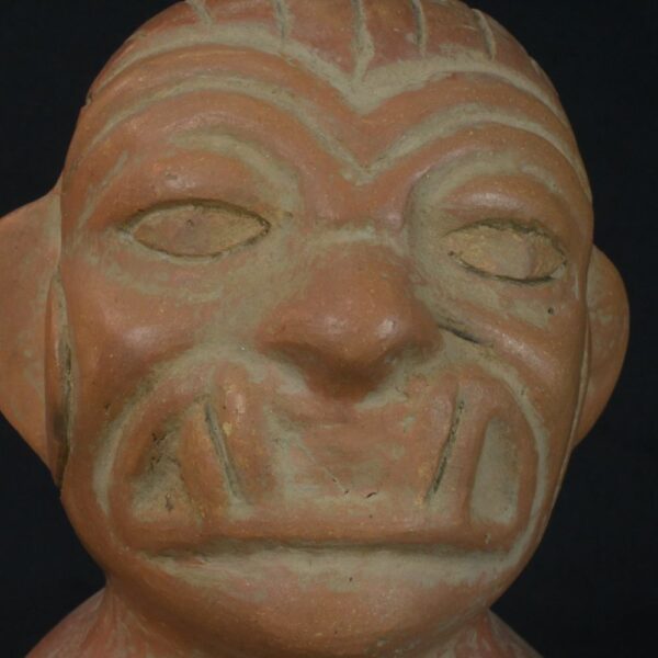 Pre-Columbian Moche Anthropomorphic Crab Bottle - Image 12