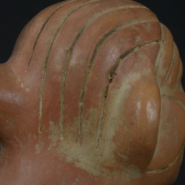 Pre-Columbian Moche Anthropomorphic Crab Bottle - Image 14