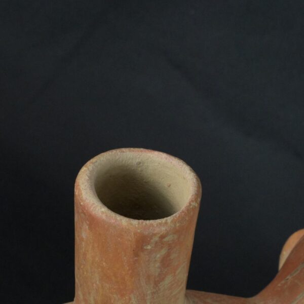 Pre-Columbian Moche Anthropomorphic Crab Bottle - Image 15