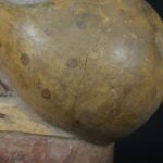 Botella moche - Image 12