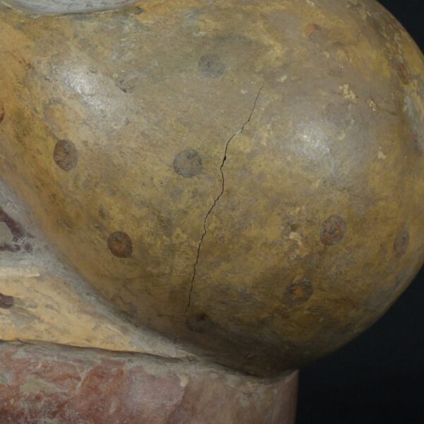 Pre-Columbian Moche Ceramic Ritual Bottle - Image 12