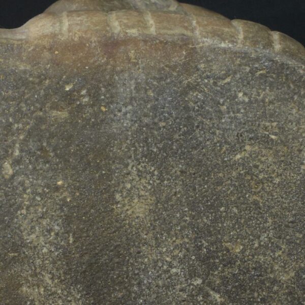 Pre-Columbian Moche Ceramic Priest Bottle - Image 11