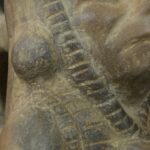 Pre-Columbian Moche Ceramic Priest Bottle - Image 15