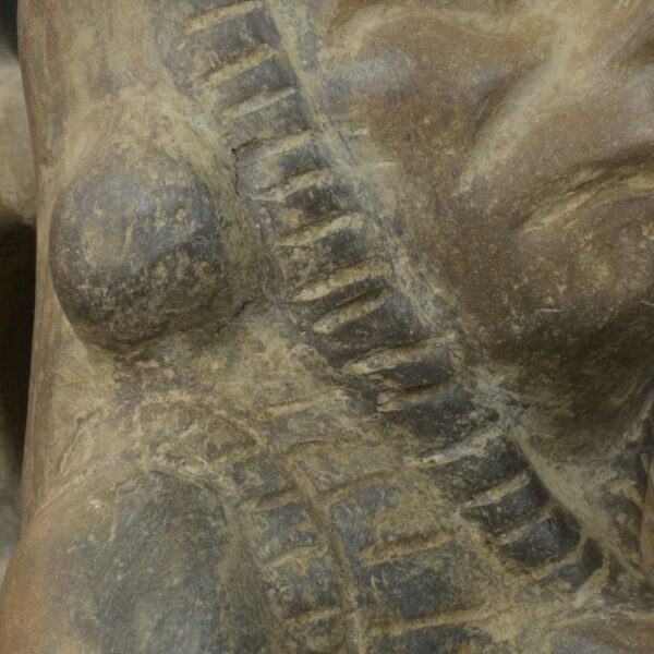 Pre-Columbian Moche Ceramic Priest Bottle - Image 15