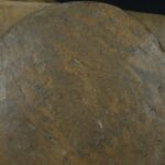 Pre-Columbian Moche Whistle with Ceremonial Design - Image 10