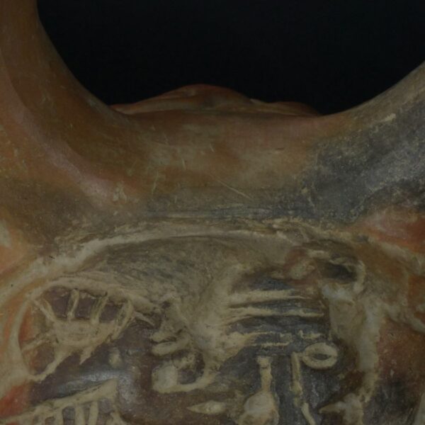 Pre-Columbian Moche Ritual Ceramic Bottle - Image 14