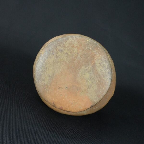 Pre-Columbian Moche Ceramic Ritual Bottle with Lizard Motifs - Image 9