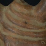 Pre-Columbian Moche Ceramic Ritual Bottle with Lizard Motifs - Image 13