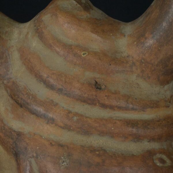 Pre-Columbian Moche Ceramic Ritual Bottle with Lizard Motifs - Image 13