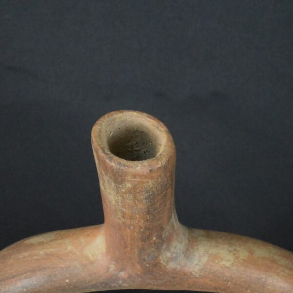 Pre-Columbian Moche Ceramic Ritual Bottle with Lizard Motifs - Image 14