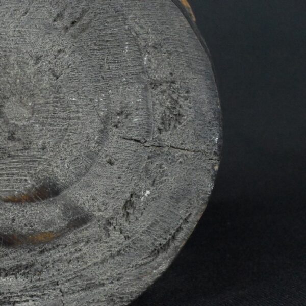 Pre-Columbian Moche Wooden Ritual Vessel with Inlays - Image 11