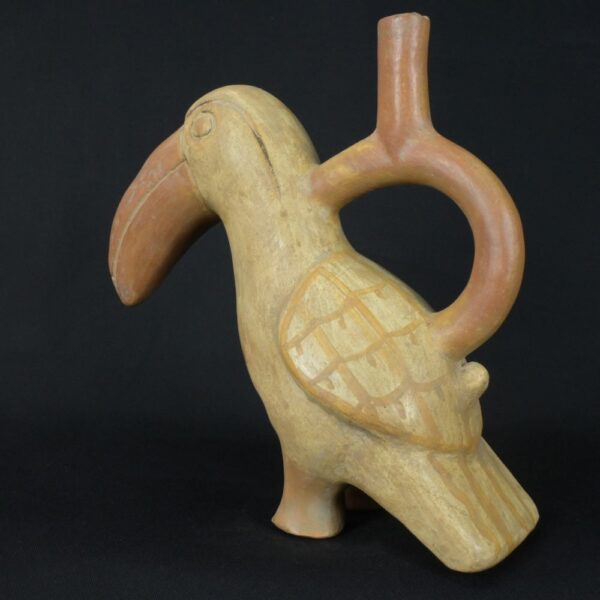 Pre-Columbian Moche Toucan Ceramic Ritual Bottle - Image 2