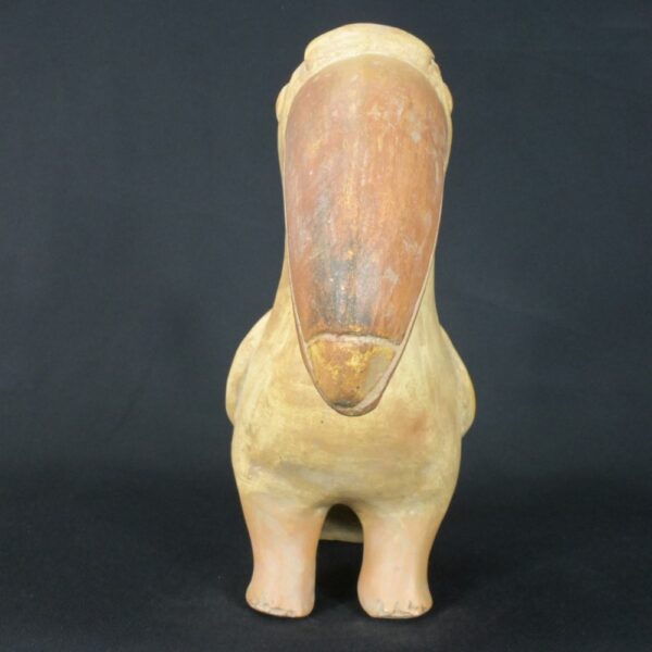 Pre-Columbian Moche Toucan Ceramic Ritual Bottle - Image 7