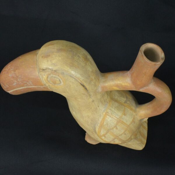 Pre-Columbian Moche Toucan Ceramic Ritual Bottle - Image 9
