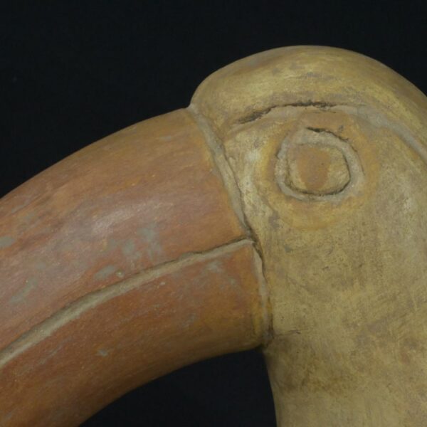 Pre-Columbian Moche Toucan Ceramic Ritual Bottle - Image 11