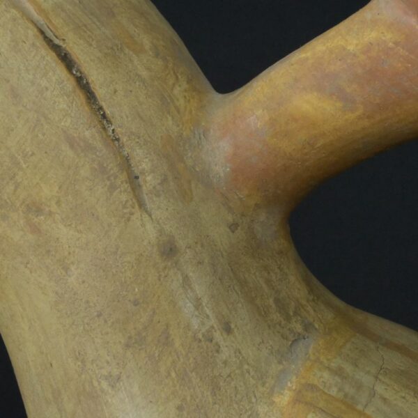 Pre-Columbian Moche Toucan Ceramic Ritual Bottle - Image 12