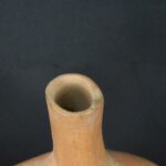 Pre-Columbian Moche Toucan Ceramic Ritual Bottle - Image 13