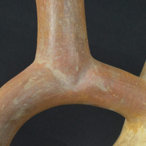 Pre-Columbian Moche Toucan Ceramic Ritual Bottle - Image 15