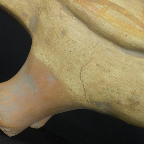 Pre-Columbian Moche Toucan Ceramic Ritual Bottle - Image 16