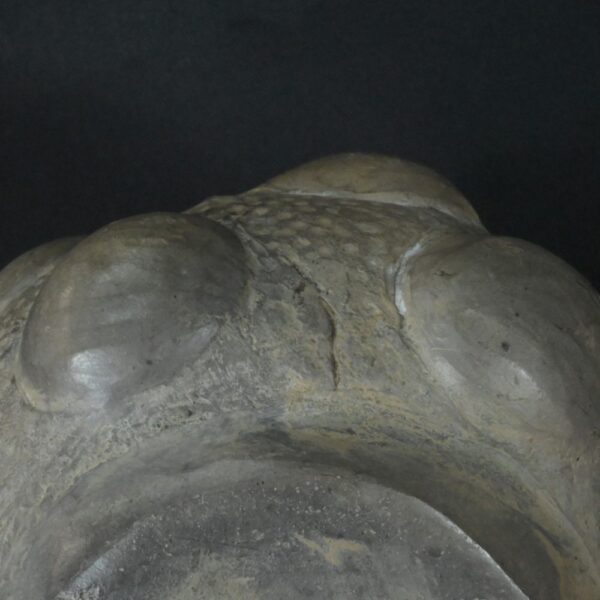 Pre-Columbian Chavin Ceramic Ritual Bottle - Image 11